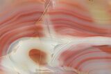 Colorful, Polished Patagonia Agate - Highly Fluorescent! #214919-2